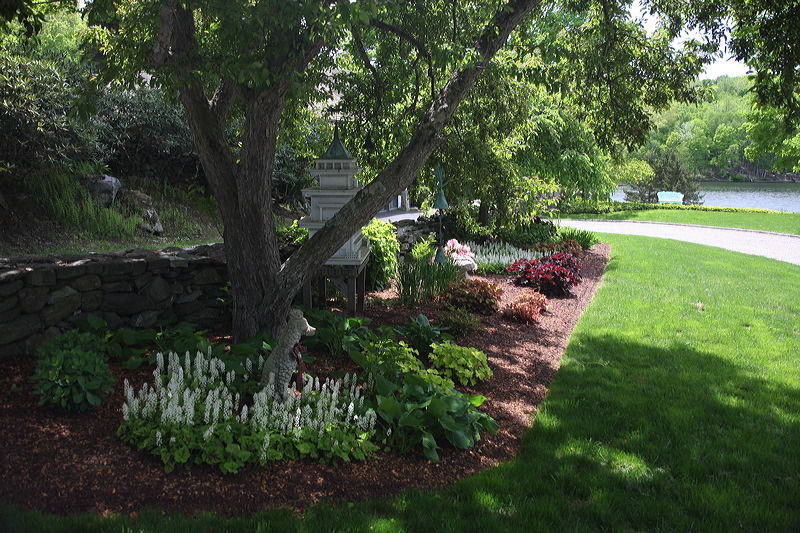 Landscaping on the property.