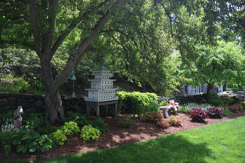 Grounds and yard of the house.
